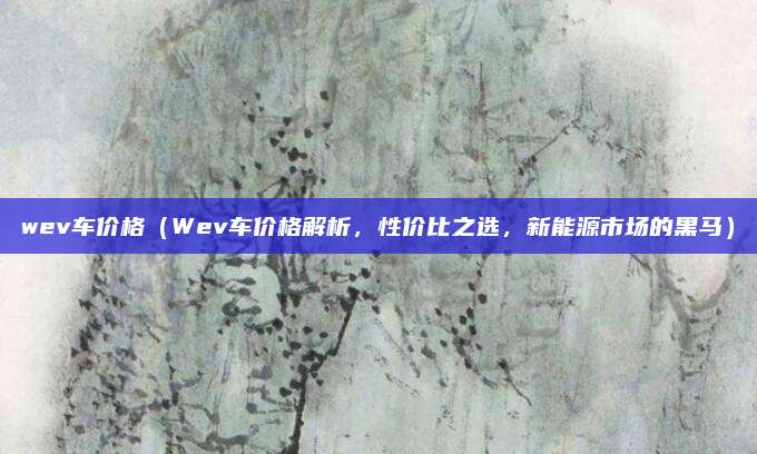 wev车价格(Wev车价格解析,性价比之选,新能源市场的黑马)