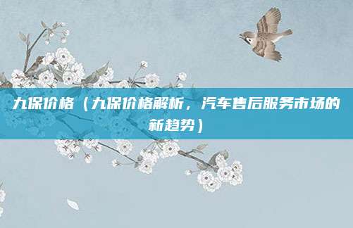九保价格(九保价格解析,汽车售后服务市场的新趋势)