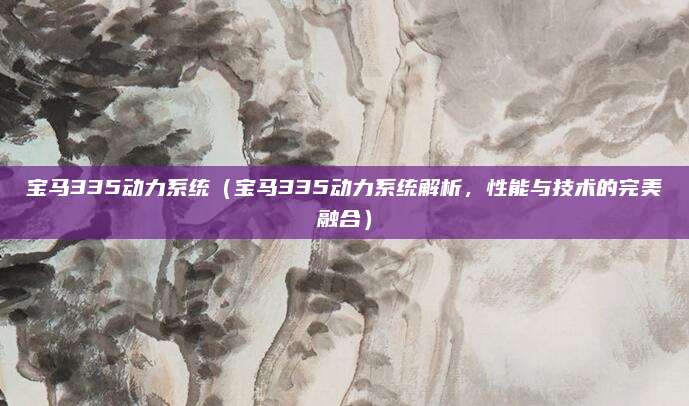 宝马335动力系统(宝马335动力系统解析,性能与技术的完美融合)