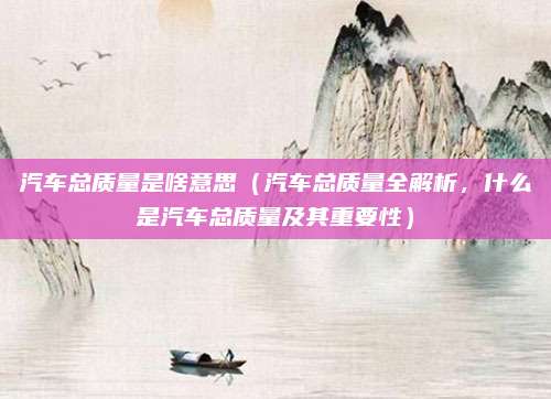 汽车总质量是啥意思(汽车总质量全解析,什么是汽车总质量及其重要性)