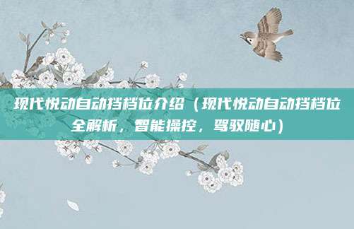 现代悦动自动挡档位介绍（现代悦动自动挡档位全解析，智能操控，驾驭随心）