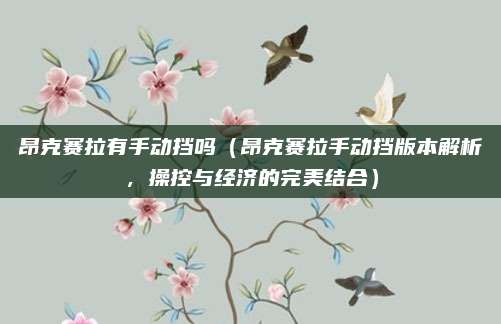 昂克赛拉有手动挡吗(昂克赛拉手动挡版本解析,操控与经济的完美结合)