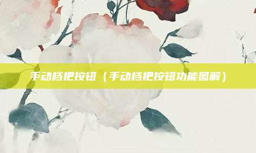 手动档把按钮(手动档把按钮功能图解)