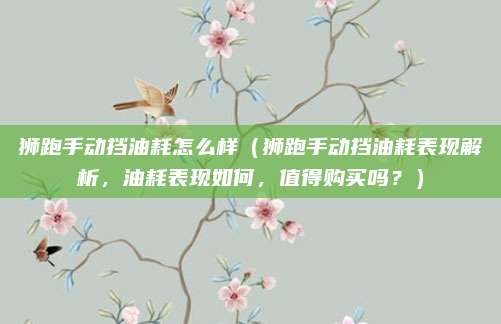 狮跑手动挡油耗怎么样(狮跑手动挡油耗表现解析,油耗表现如何,值得购买吗?)