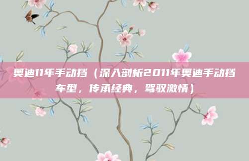奥迪11年手动挡(深入剖析2011年奥迪手动挡车型,传承经典,驾驭激情)