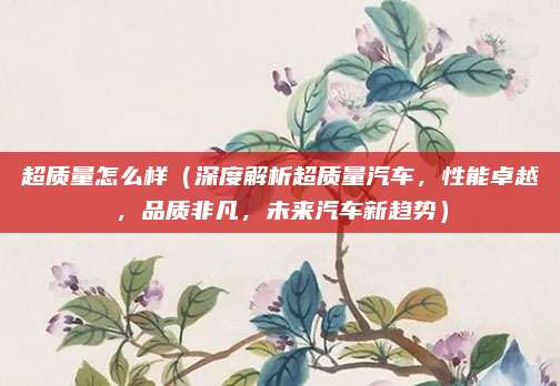 超质量怎么样(深度解析超质量汽车,性能卓越,品质非凡,未来汽车新趋势)