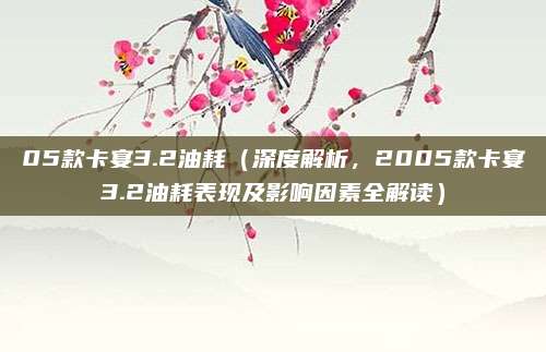 05款卡宴3.2油耗(深度解析,2005款卡宴3.2油耗表现及影响因素全解读)