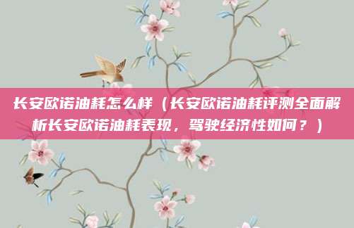 长安欧诺油耗怎么样(长安欧诺油耗评测全面解析长安欧诺油耗表现,驾驶经济性如何?)