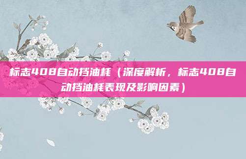 标志408自动挡油耗(深度解析,标志408自动挡油耗表现及影响因素)