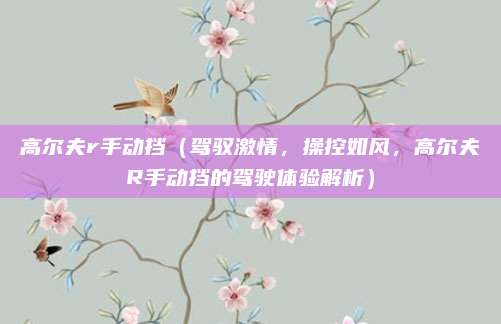 高尔夫r手动挡（驾驭激情，操控如风，高尔夫R手动挡的驾驶体验解析）