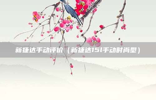 新捷达手动评价(新捷达15l手动时尚型)