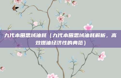 九代本田思域油耗（九代本田思域油耗解析，高效燃油经济性的典范）