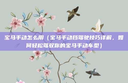 宝马手动怎么用（宝马手动挡驾驶技巧详解，如何轻松驾驭你的宝马手动车型）