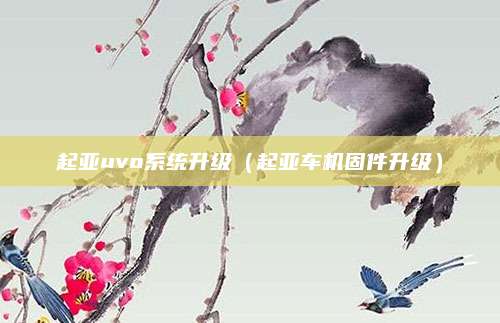 起亚uvo系统升级(起亚车机固件升级)