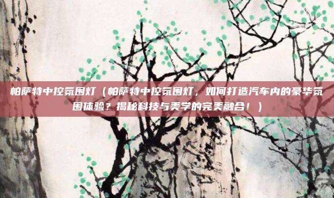 帕萨特中控氛围灯（帕萨特中控氛围灯，如何打造汽车内的豪华氛围体验？揭秘科技与美学的完美融合！）