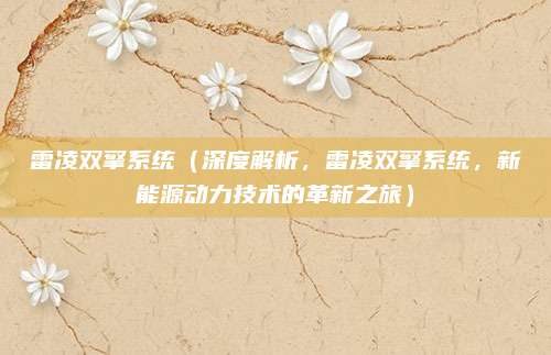 雷凌双擎系统(深度解析,雷凌双擎系统,新能源动力技术的革新之旅)