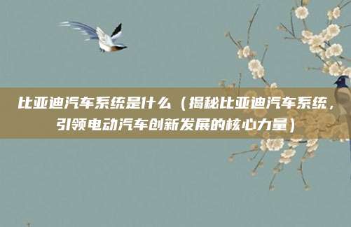 比亚迪汽车系统是什么(揭秘比亚迪汽车系统,引领电动汽车创新发展的核心力量)