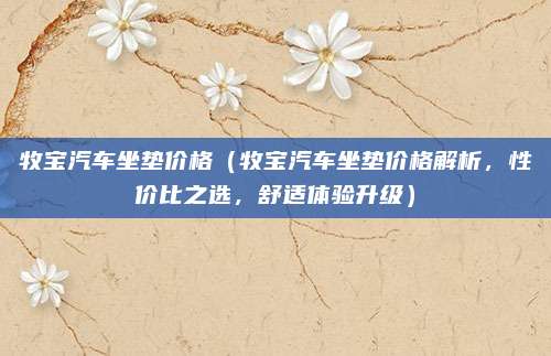牧宝汽车坐垫价格（牧宝汽车坐垫价格解析，性价比之选，舒适体验升级）