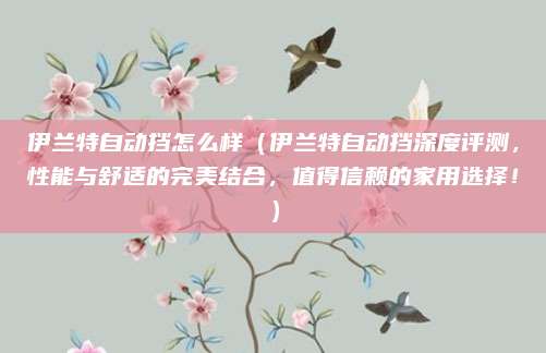 伊兰特自动挡怎么样(伊兰特自动挡深度评测,性能与舒适的完美结合,值得信赖的家用选择!)