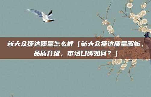新大众捷达质量怎么样(新大众捷达质量解析,品质升级,市场口碑如何?)