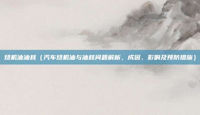 烧机油油耗（汽车烧机油与油耗问题解析，成因、影响及预防措施）