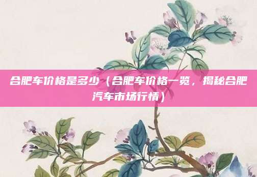 合肥车价格是多少(合肥车价格一览,揭秘合肥汽车市场行情)