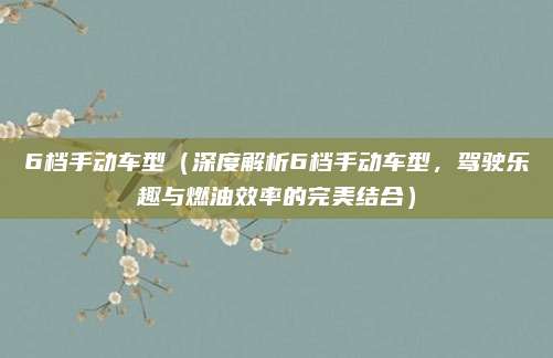 6档手动车型(深度解析6档手动车型,驾驶乐趣与燃油效率的完美结合)