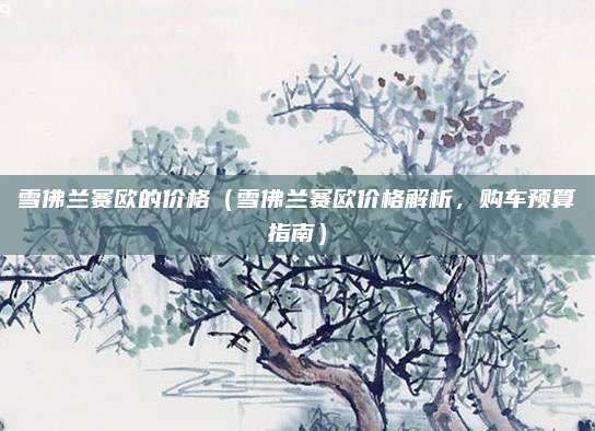 雪佛兰赛欧的价格(雪佛兰赛欧价格解析,购车预算指南)