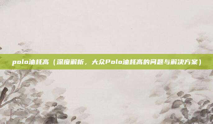 polo油耗高(深度解析,大众Polo油耗高的问题与解决方案)