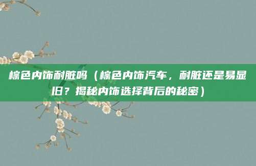 棕色内饰耐脏吗(棕色内饰汽车,耐脏还是易显旧?揭秘内饰选择背后的秘密)