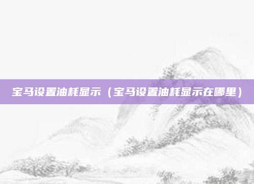 宝马设置油耗显示(宝马设置油耗显示在哪里)