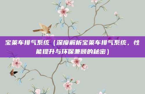 宝莱车排气系统(深度解析宝莱车排气系统,性能提升与环保兼顾的秘密)