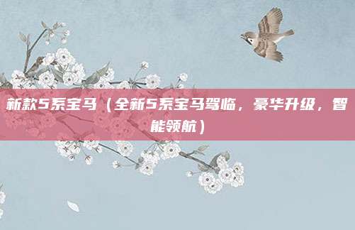 新款5系宝马(全新5系宝马驾临,豪华升级,智能领航)