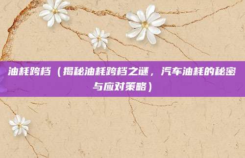 油耗跨档(揭秘油耗跨档之谜,汽车油耗的秘密与应对策略)