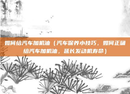 如何给汽车加机油(汽车保养小技巧,如何正确给汽车加机油,延长发动机寿命)