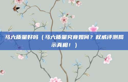 马六质量好吗(马六质量究竟如何?权威评测揭示真相!)