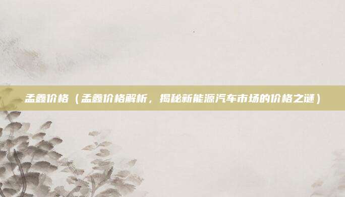 孟鑫价格(孟鑫价格解析,揭秘新能源汽车市场的价格之谜)