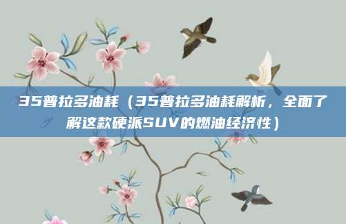 35普拉多油耗（35普拉多油耗解析，全面了解这款硬派SUV的燃油经济性）