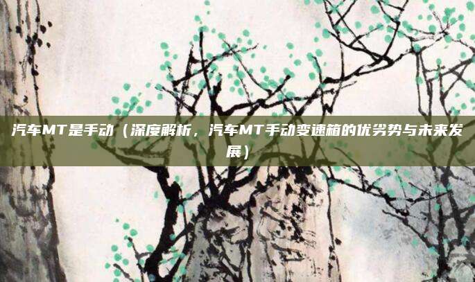 汽车MT是手动(深度解析,汽车MT手动变速箱的优劣势与未来发展)