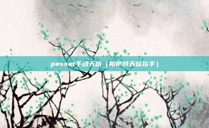 passat手动天窗(帕萨特天窗拉手)