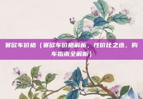 赛欧车价格(赛欧车价格解析,性价比之选,购车指南全解析)