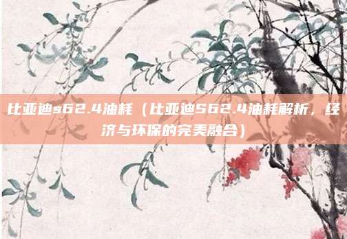比亚迪s62.4油耗(比亚迪S62.4油耗解析,经济与环保的完美融合)