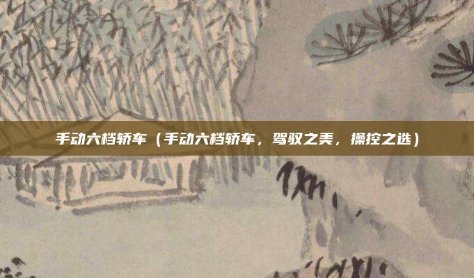 手动六档轿车(手动六档轿车,驾驭之美,操控之选)