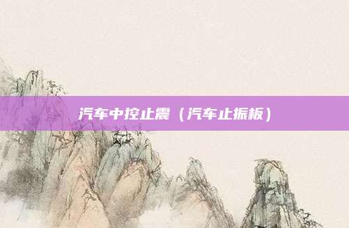 汽车中控止震(汽车止振板)