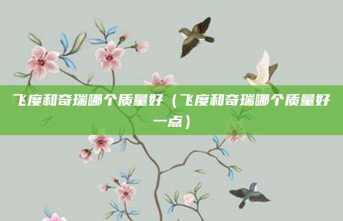 飞度和奇瑞哪个质量好(飞度和奇瑞哪个质量好一点)