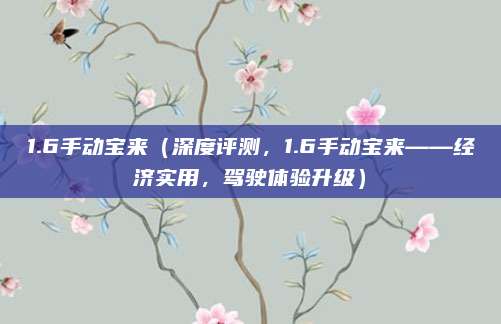 1.6手动宝来(深度评测,1.6手动宝来——经济实用,驾驶体验升级)