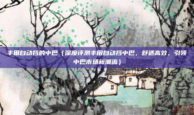 丰田自动挡的中巴（深度评测丰田自动挡中巴，舒适高效，引领中巴市场新潮流）