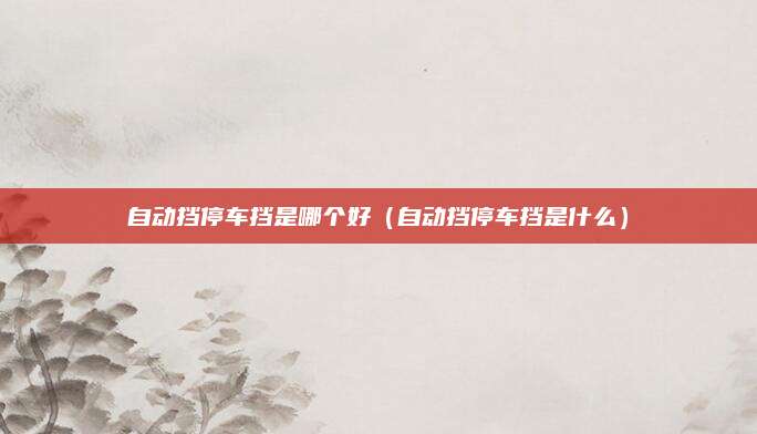 自动挡停车挡是哪个好(自动挡停车挡是什么)