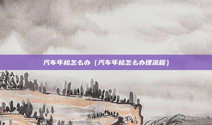 汽车年检怎么办(汽车年检怎么办理流程)