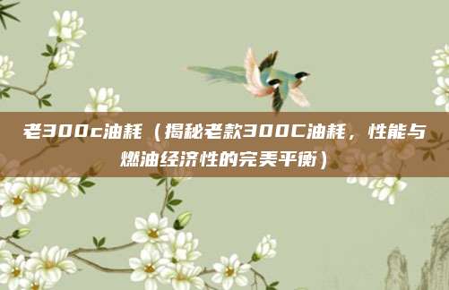 老300c油耗（揭秘老款300C油耗，性能与燃油经济性的完美平衡）